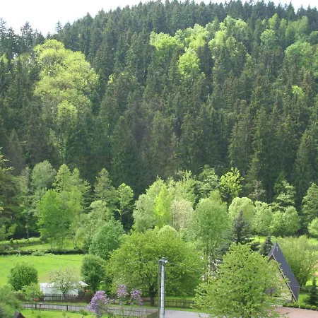 Attractive With Garden In Borstendorf Villa Leubsdorf