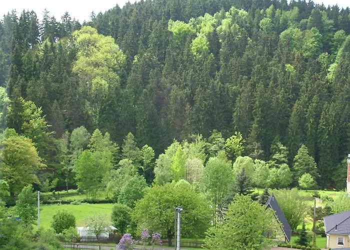 Attractive With Garden In Borstendorf 别墅 Leubsdorf